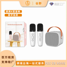 定制P2手提蓝牙K歌音响话筒分体式音响麦克风儿童家庭KTV套装一体