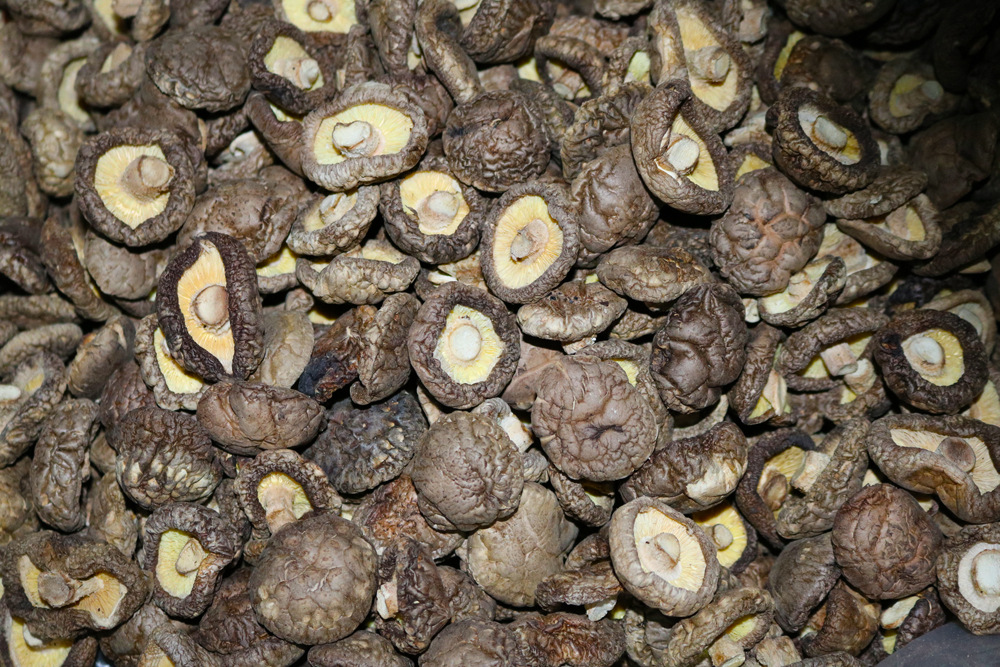 产地直发农家特产个大饱满短脚剪根香菇脱水菇南北干货随州香菇