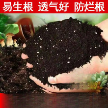 栀子花专用土土壤牡丹花鸡粪菜园子铺面绿植家庭栽培土