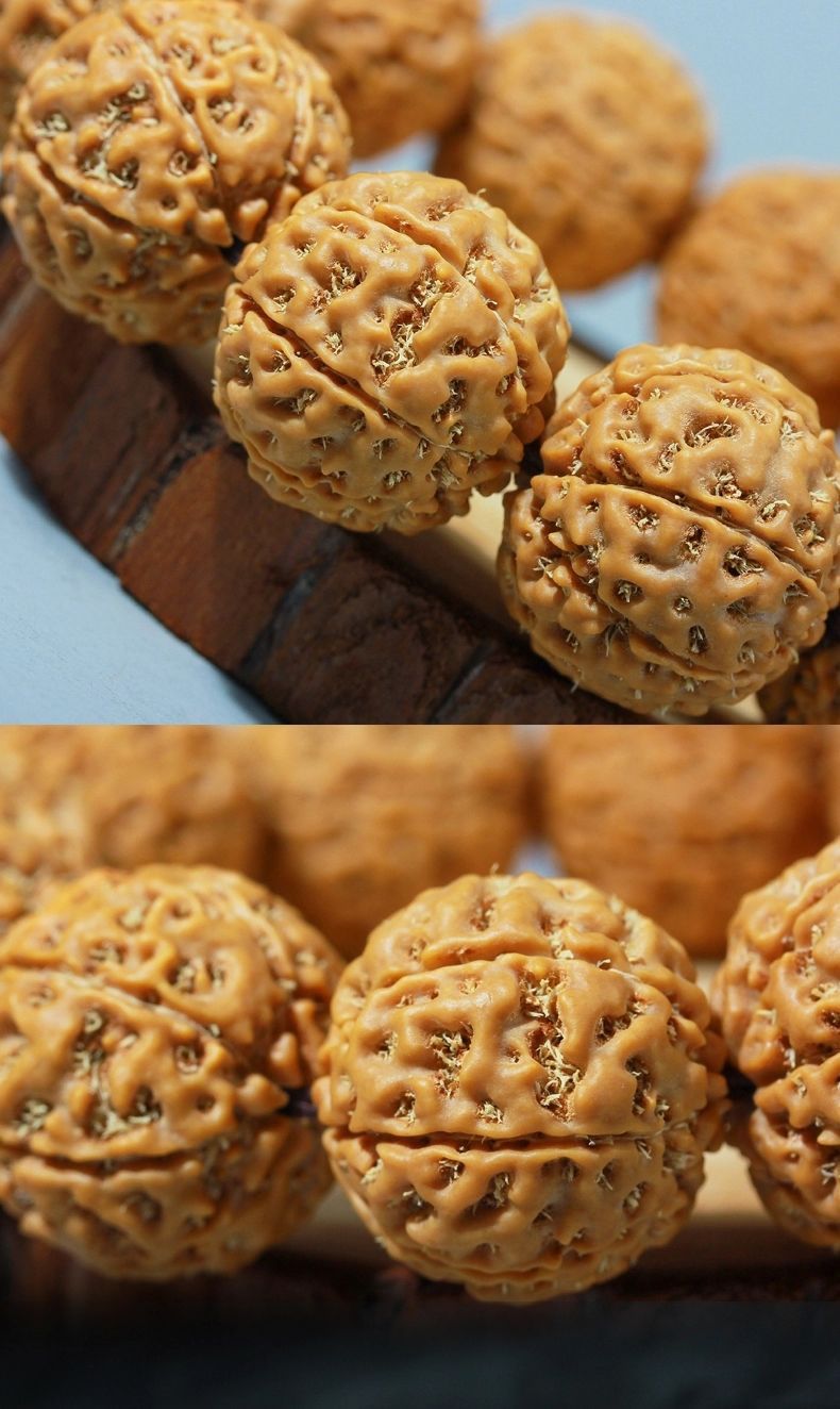 新籽原籽黄皮金刚菩提手串男士大金刚佛珠手串文玩手链六七八九瓣