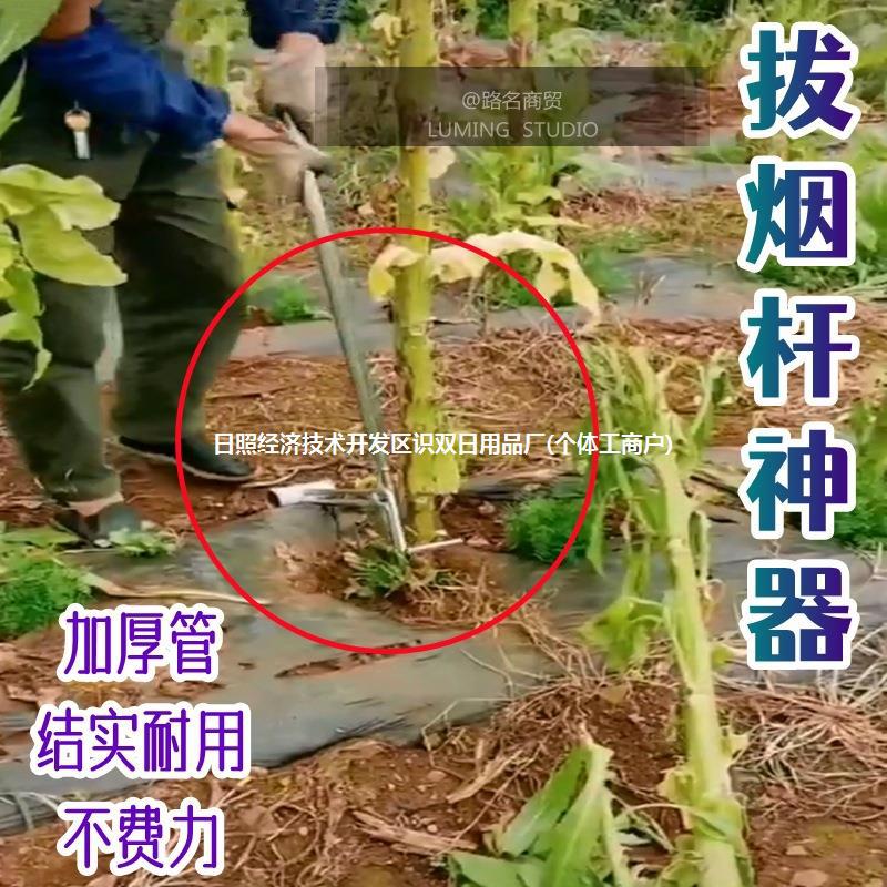 拔烟杆神器黄烟树农用结实加厚拨秧烤烟扒烟茬快速省力拔竿根工具