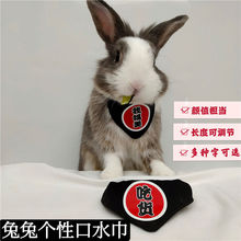 兔子装饰兔兔扮萌口水巾侏儒兔围脖垂耳兔围巾宠物兔拍照提升颜值