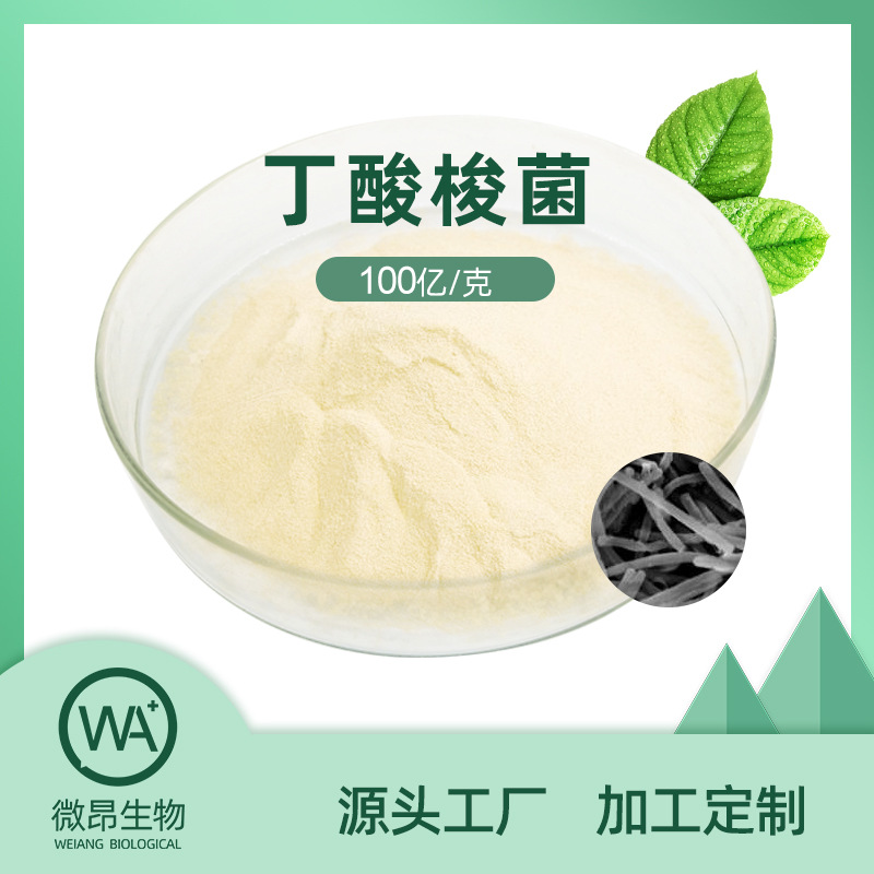 丁酸梭菌饲料添加动物级别乳酸菌粉