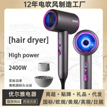 hair dryer高速电吹风机家用110v欧规美规英规日规风筒hand dryer