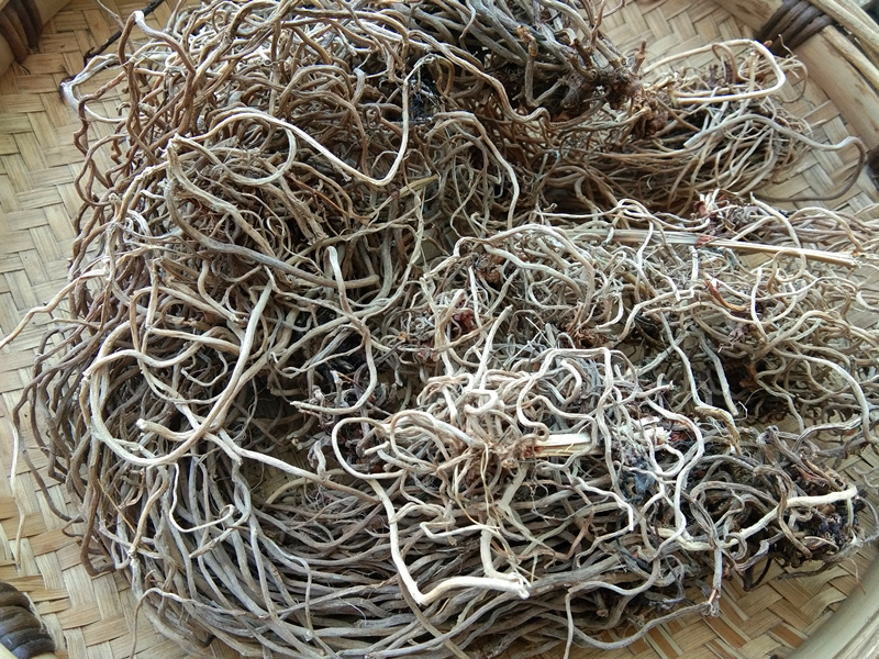 贵州野生百尾笋干货1斤包邮 道地中草药材万寿竹叶参到竹伞宝铎草