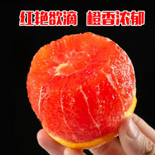 现摘血橙红脐橙红心橙子薄皮新鲜非赣南水果礼盒源头工厂一件批发