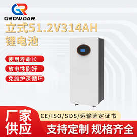 定制立式51.2V314AH光伏储能锂电池太阳能磷酸铁锂电池电瓶大容量