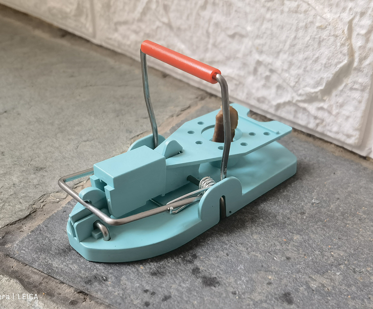 千度心小号彩色塑料老鼠夹机关笼捉老鼠陷阱飞扬盛世电商一件代发