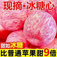 正宗陕西延安洛川苹果水果新鲜当季冰糖心脆甜整箱红富士包邮