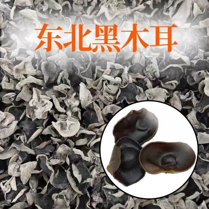 新货 东北黑木耳500g 现货 批发 木耳 云儿  散装 食用炖汤