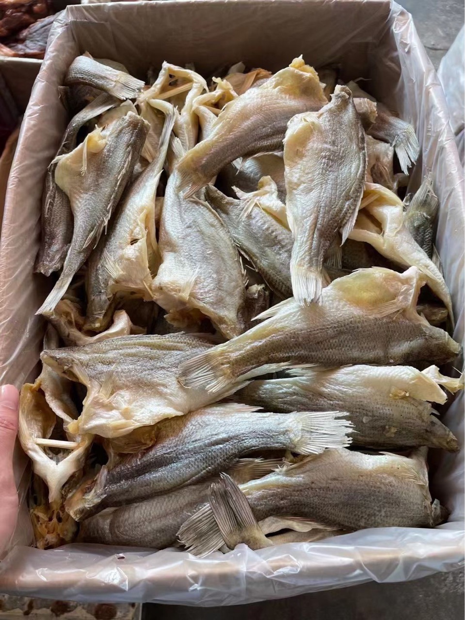 鱼干 鲈鱼 加州卢鱼 淡口 咸鱼 海鲜干货 水产干货批发