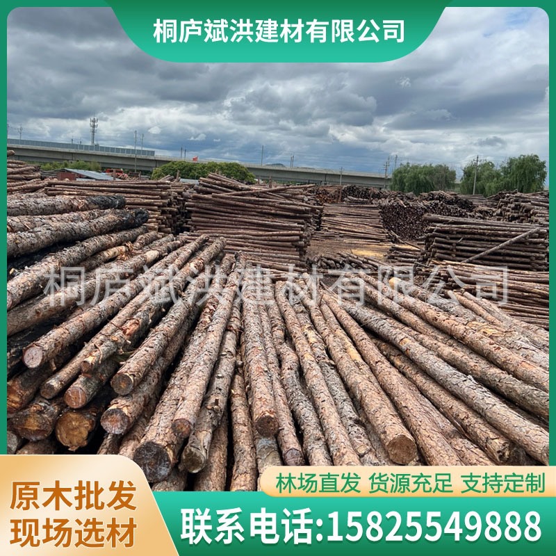 批发松木桩 河道 打桩木 杉木桩 绿化防护杉木杆 全国送-阿里巴巴