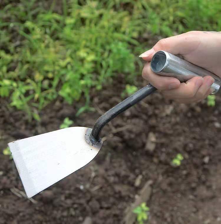 小铁锹加厚移苗铲子蒜苗大蒜平铲铁掀挖土农用挖野菜拔草神器
