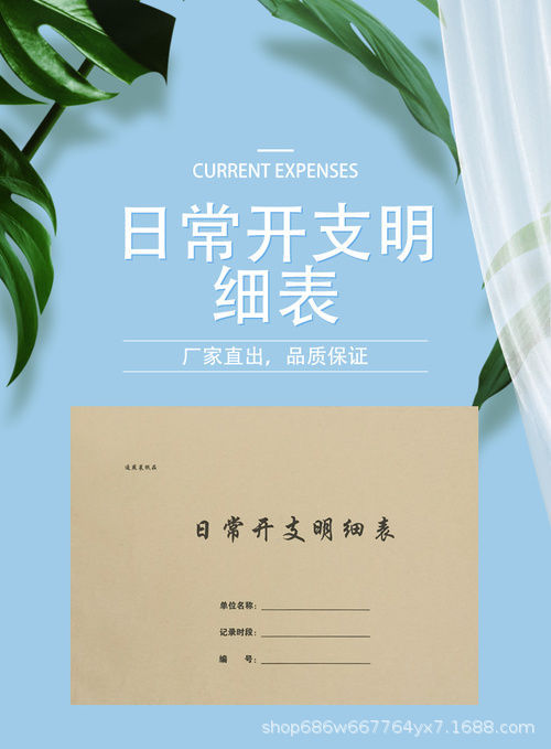 日常开支明细表记账本收支明细记录表加厚记账簿家庭收入理财家用