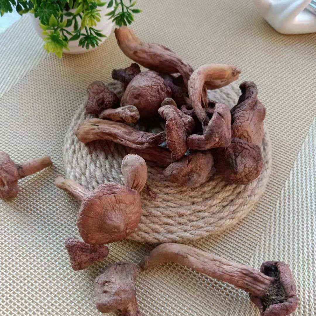 东北红蘑 长白山野生红蘑 红松伞 肉蘑菇 野生松树蘑菇 干货-阿里巴巴