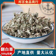 翻白草地骨皮中药材正品官方旗舰店翻百草泡水非野生天青地白草药