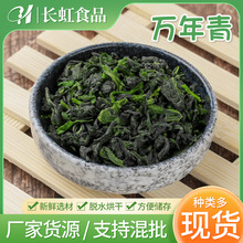 万年青菜心橄榄菜干凉菜包包子饺子馅料散装蔬菜干油菜干