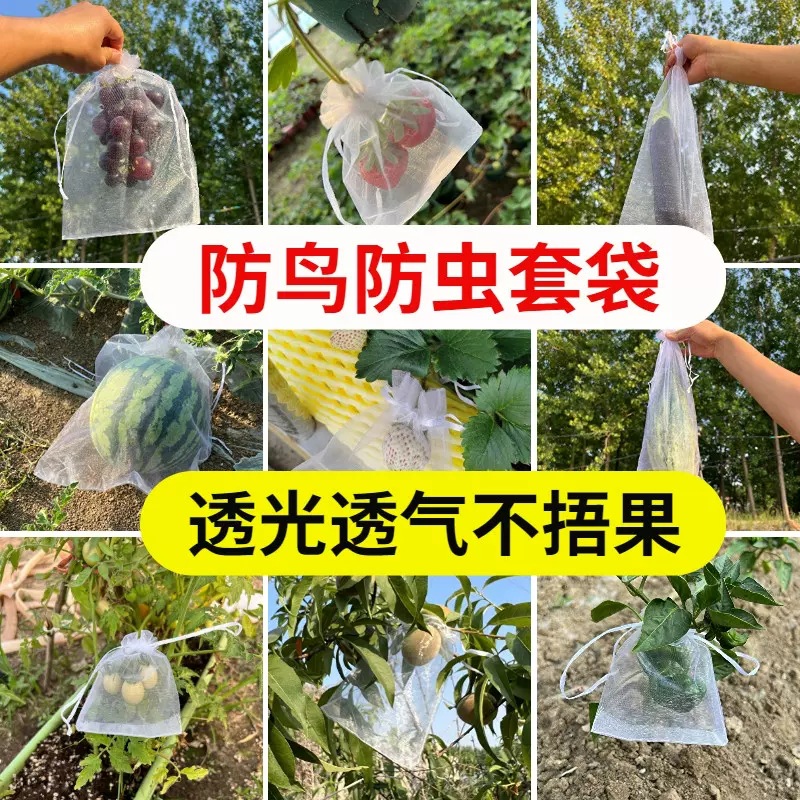 防虫网袋批发瓜果蔬菜防果蝇水果套袋草莓袋火龙果无花果葡萄套袋