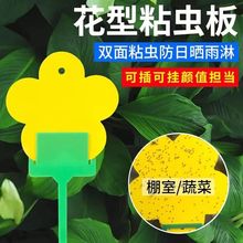 花型诱虫板双面粘虫板家用花卉飞虫粘虫纸黄色果蝇诱虫板诱捕器