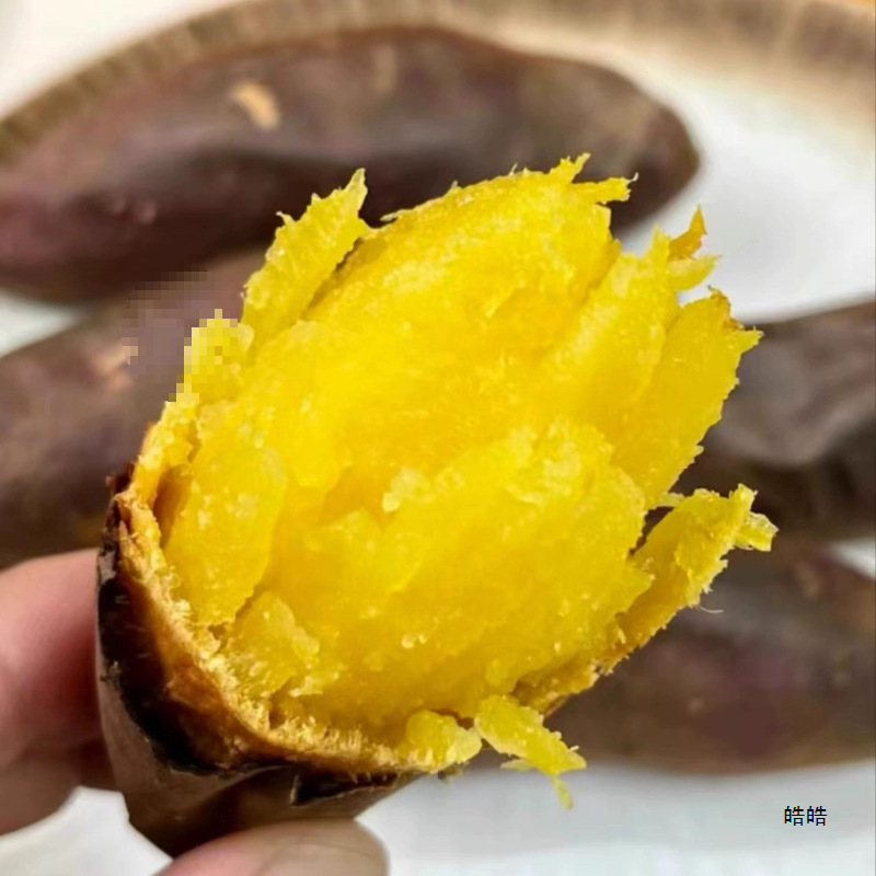玛莎莉黄金榴莲蜜薯黄心软糯香甜日系红薯代餐-阿里巴巴