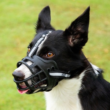 狗嘴套反光宠物狗嘴罩防咬叫乱吃中型大型犬狗口罩金毛狗止吠器