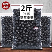 蓝莓李果火车同款新疆特产蓝莓干梅子果脯蜜饯干果零食源休闲小零