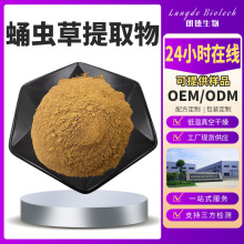 蛹虫草提取物 水溶北虫草浓缩粉 提取液 虫草素 蛹虫草菌丝体提取