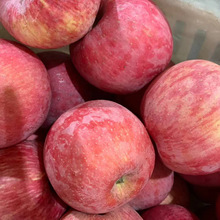 洛川苹果陕西2022新果延安红富士冰糖心产地直销苹果新鲜水果