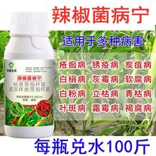 辣椒病毒病专用药卷叶病黄叶菌净炭疽叶斑病灰霉辣椒疫病清杀菌剂
