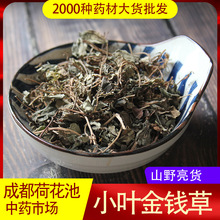 四川小叶金钱草1斤一件代发500g初级农产品初级农产品