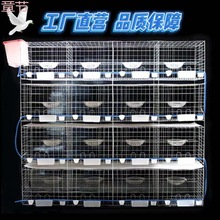 鸽子笼配对笼养殖肉鸽笼室外家用三层四层专用加粗鸽笼