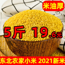 2021年新米东北特产东北黄小米2.5kg农家杂粮食用月子米宝宝米粥