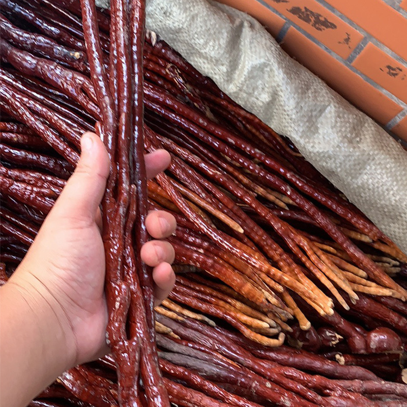 灵芝草 泡酒料粉紫芝赤芝量大从优新货鹿角灵芝佛手整枝各种规格