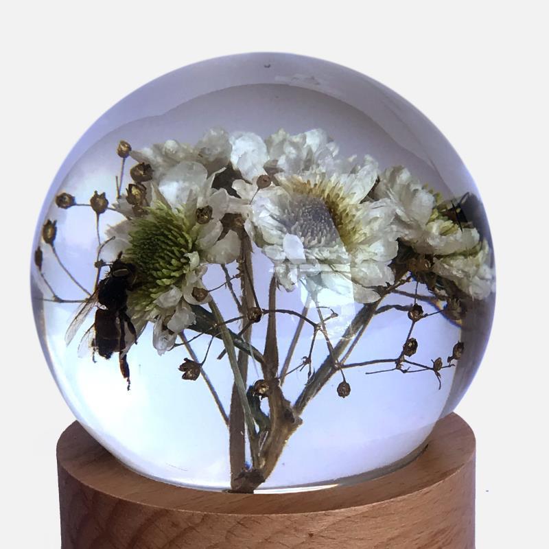 定制透明树脂水球人工琥珀蜜蜂昆虫标本风水转运礼品植物菊花景观