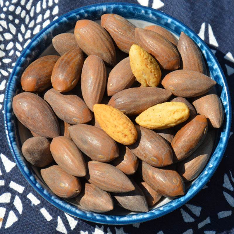 2022新货嵊州枫桥香榧含罐1000g/500g/250g/礼盒装香榧果