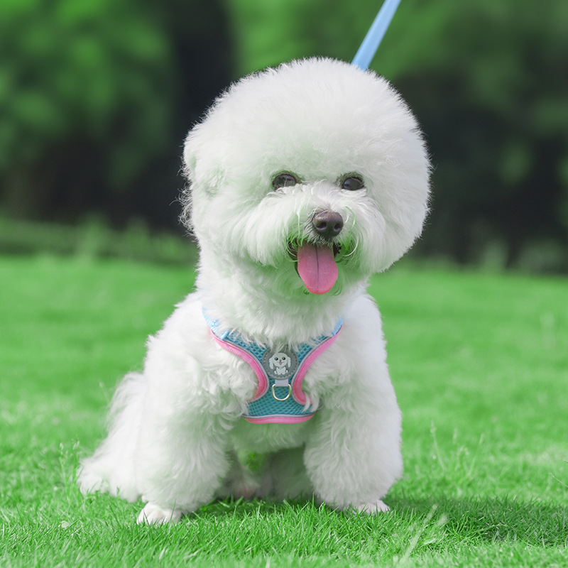背心式牵引绳比熊犬专用网红遛狗绳宠物小狗狗绳子泰迪小型犬链子