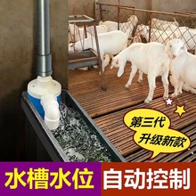 牛羊饮水槽喂养养殖场鸡鸭鹅自动饮水鸭子喝水槽牛羊用品猪圈育雏