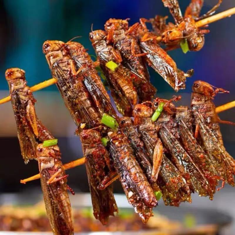 铁板烧烤油炸食材蚂蚱串冷冻半成品家庭小吃野生蝗虫烤串鸡肉串