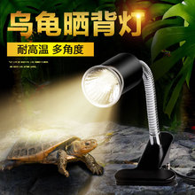 乌龟晒背灯太阳灯龟灯爬宠陆龟蜥蜴多角度调节加热保温灯