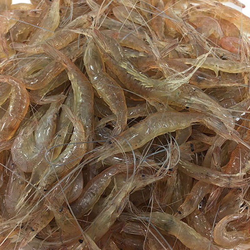 4袋包邮淡水小河虾冷冻活体新鲜青虾湖虾水产急冻小草虾醉虾