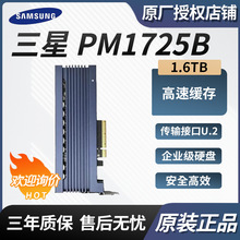 适用三星PM1725B  1.6TB  企业级固态硬盘  U.2接口 MZWLL1T6HAJQ