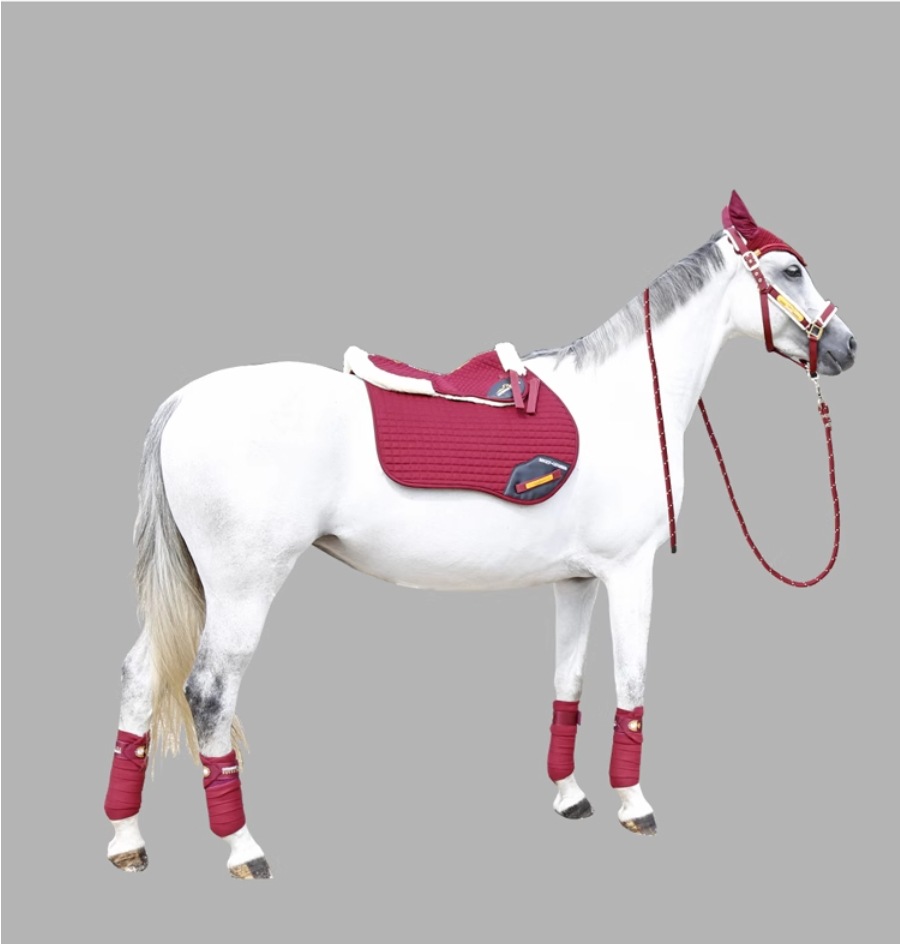 8109054马术用品厂家批发马鞭 长鞭 鞭子 碳纤维 舞步长鞭 跨境