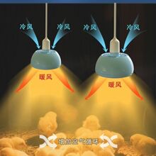 暖风保温灯养殖加热育雏加温取暖发热可调灯泡节能暖风机