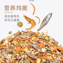 仓鼠粮粮食鼠主粮套餐食物组合金丝小饲料磨牙零食用品跨境电商厂