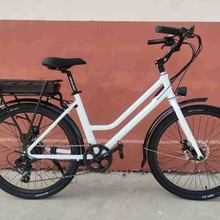 ebike电助力自行车光芒电池淑女公主休闲旅行锂电助理新能源续航