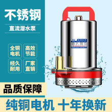 48v水泵抽水机12v增压大功率低压潜水泵直流72v电动车抽水泵12伏