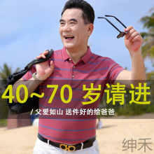 SH中年男士T恤夏季纯棉爸爸装夏装短袖中老年人男装上衣翻领polo