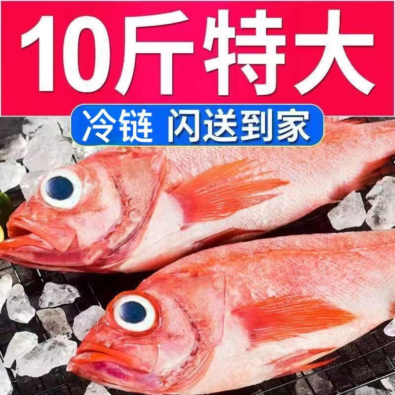 新鲜红石斑鱼长寿鱼整条深海鱼特大号批发海鲜批发冷冻海一件代发