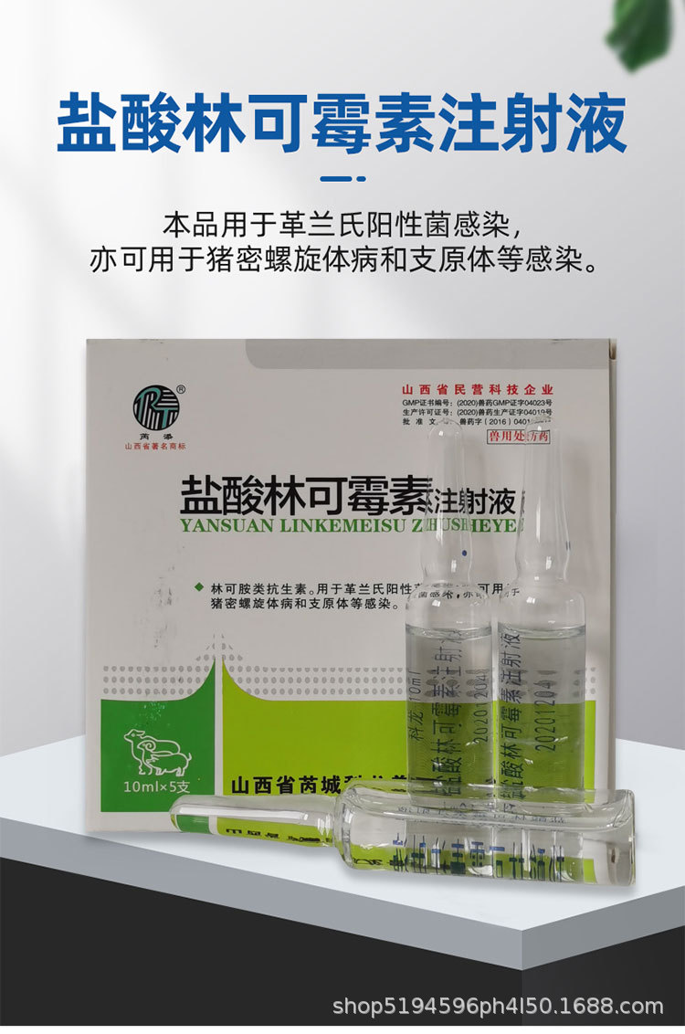 兽药兽用盐酸林可霉素注射液猪牛羊药咳嗽高低烧母猪产后消炎针剂