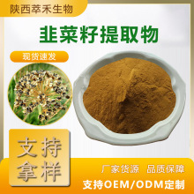 韭菜籽提取物50：1 水溶性韭菜籽粉 韭菜籽浓缩粉 食品原料